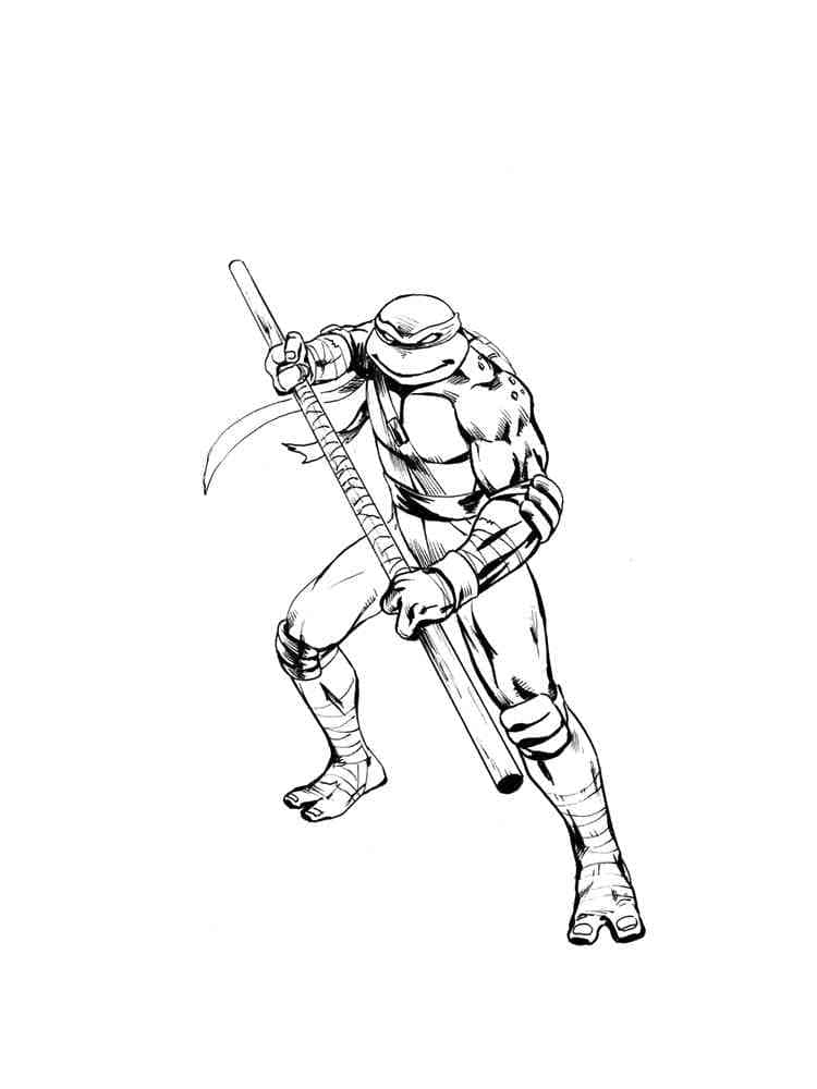 Donatello (Tartarugas Ninja)