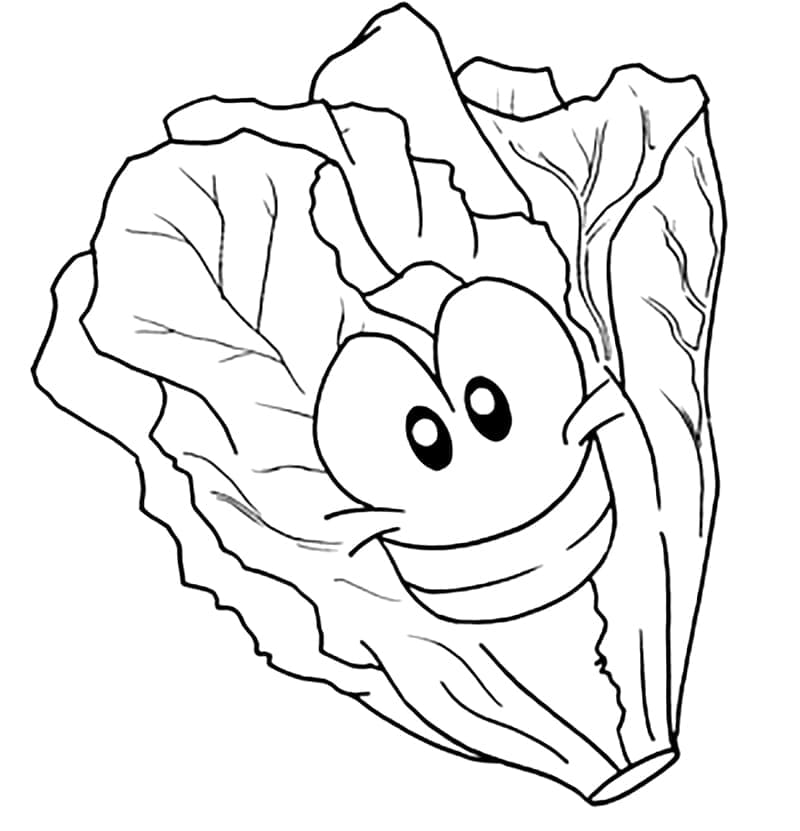 Alface