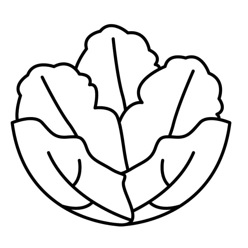 Alface