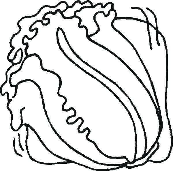 Alface