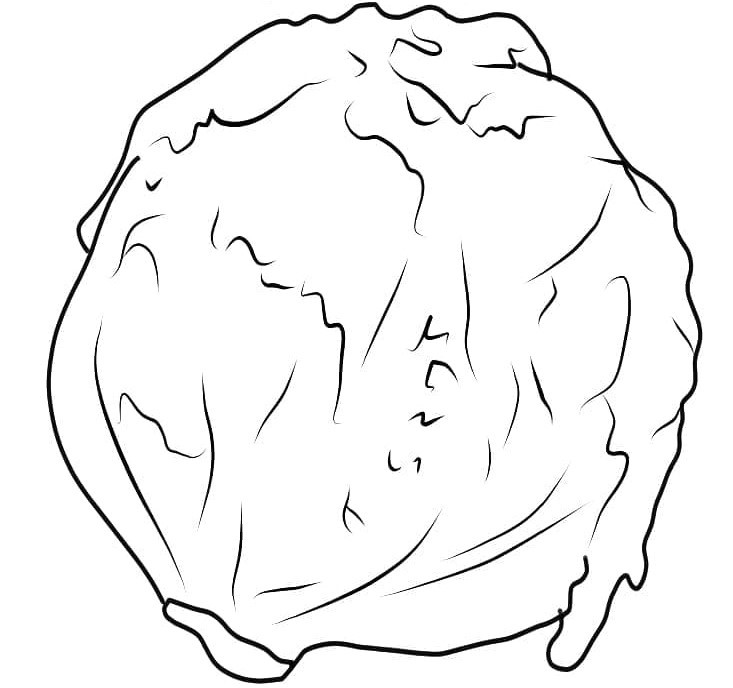 Alface