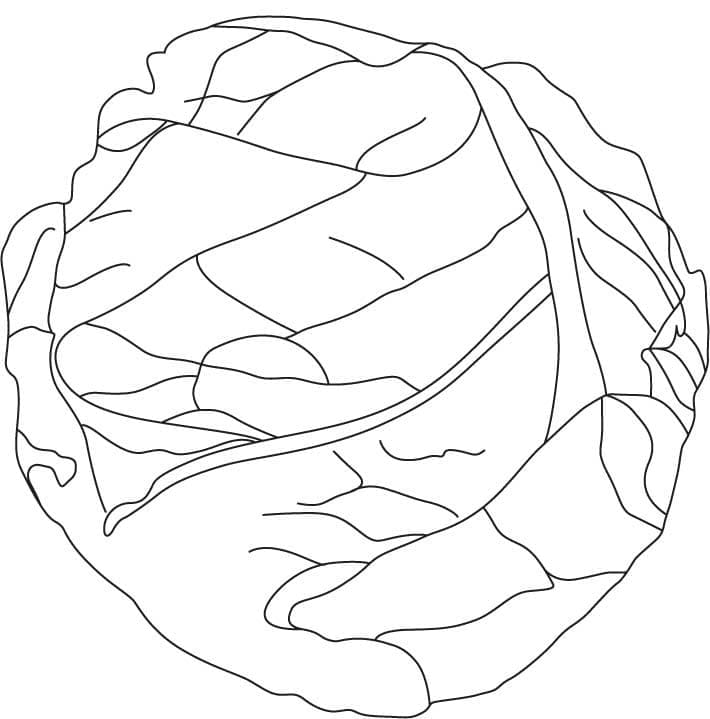 Alface