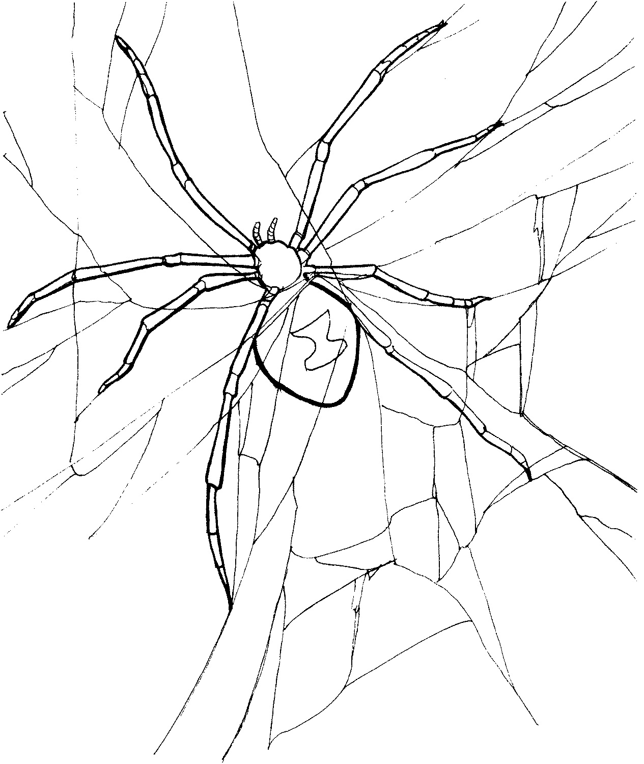 Aranhas