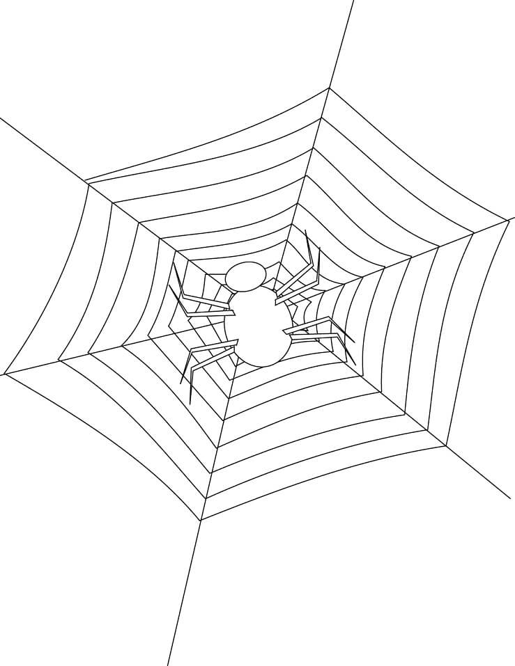 Aranhas