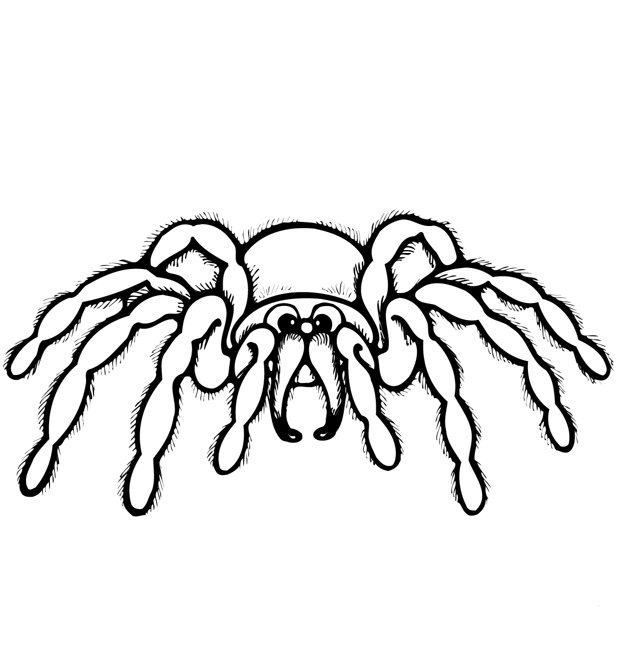 Aranhas
