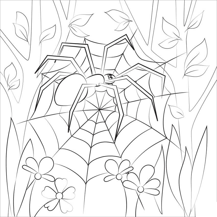 Aranhas