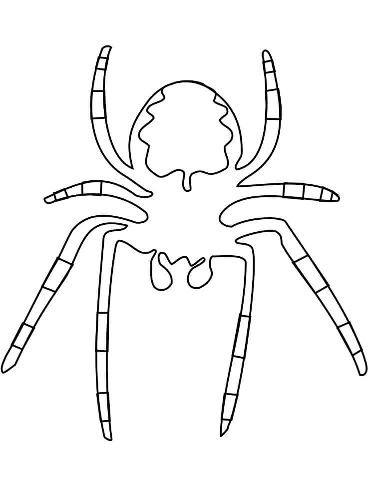 Aranhas