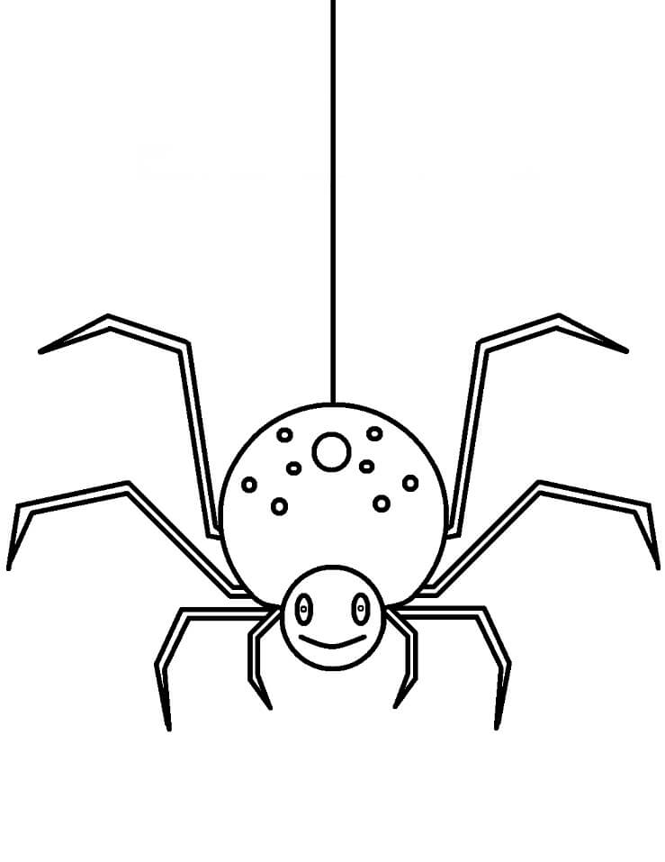 Aranhas