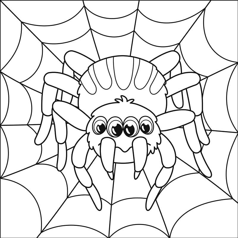 Aranhas