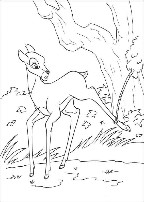 Bambi