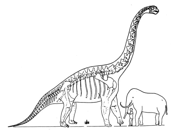 Braquiossauro