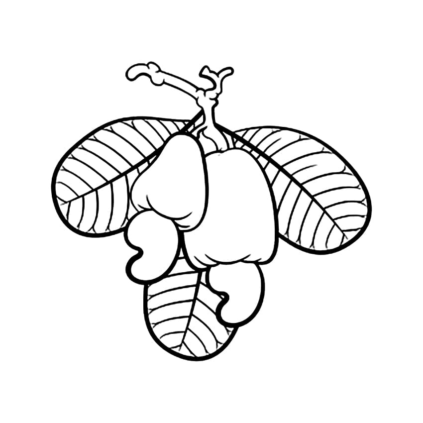 Caju