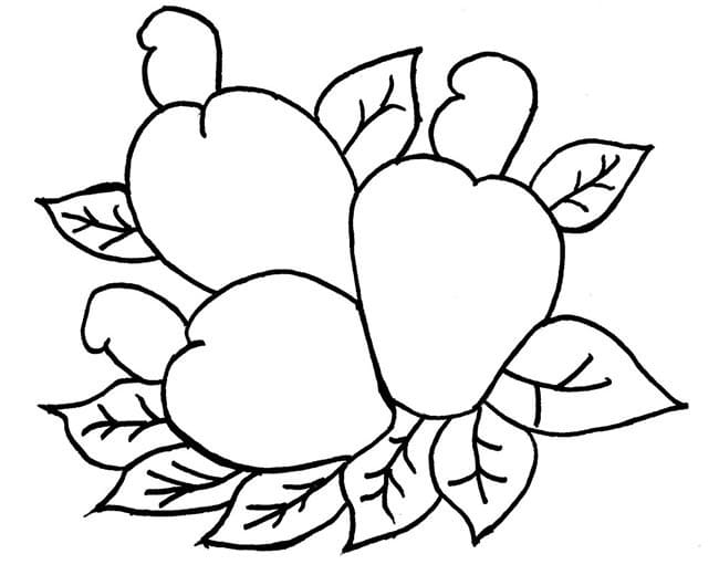 Caju
