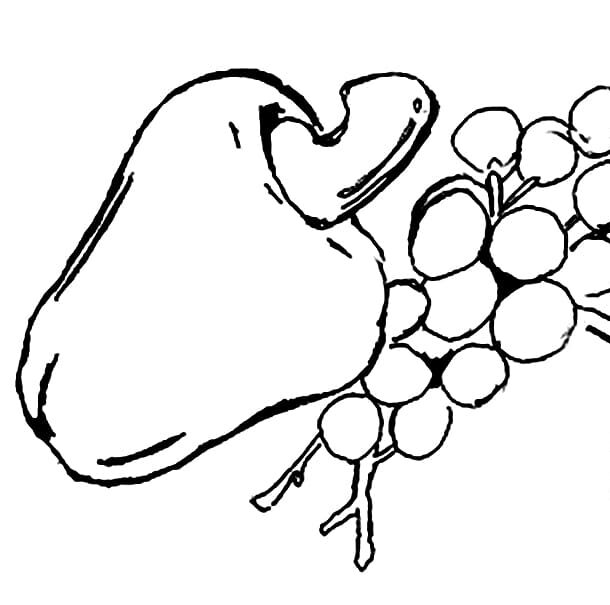 Caju