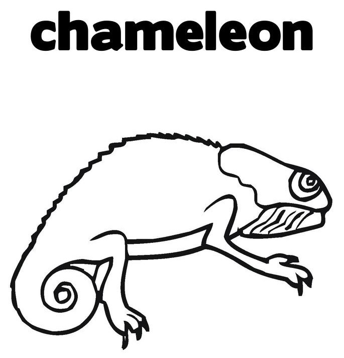 Camaleão