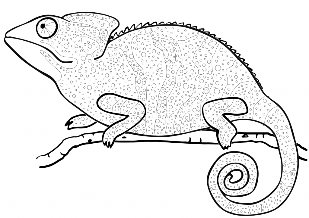 Camaleão