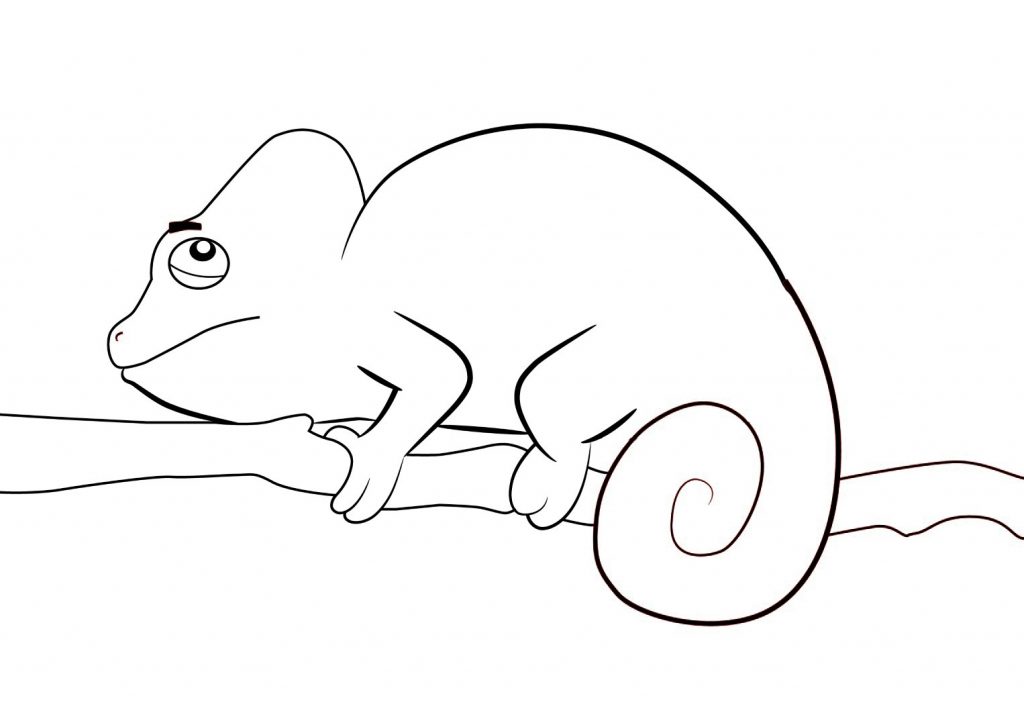 Camaleão