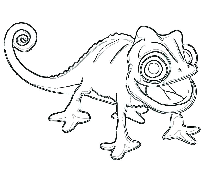 Camaleão