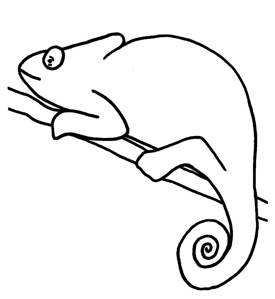 Camaleão