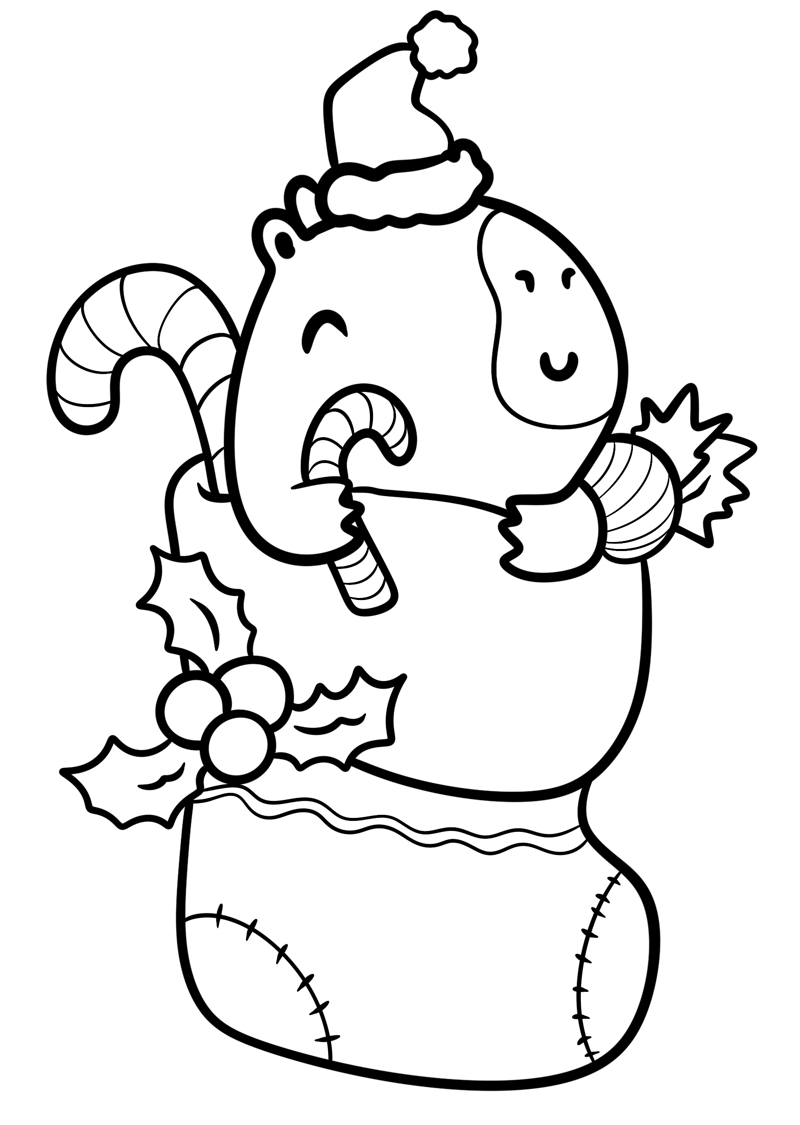 Capivara de Natal