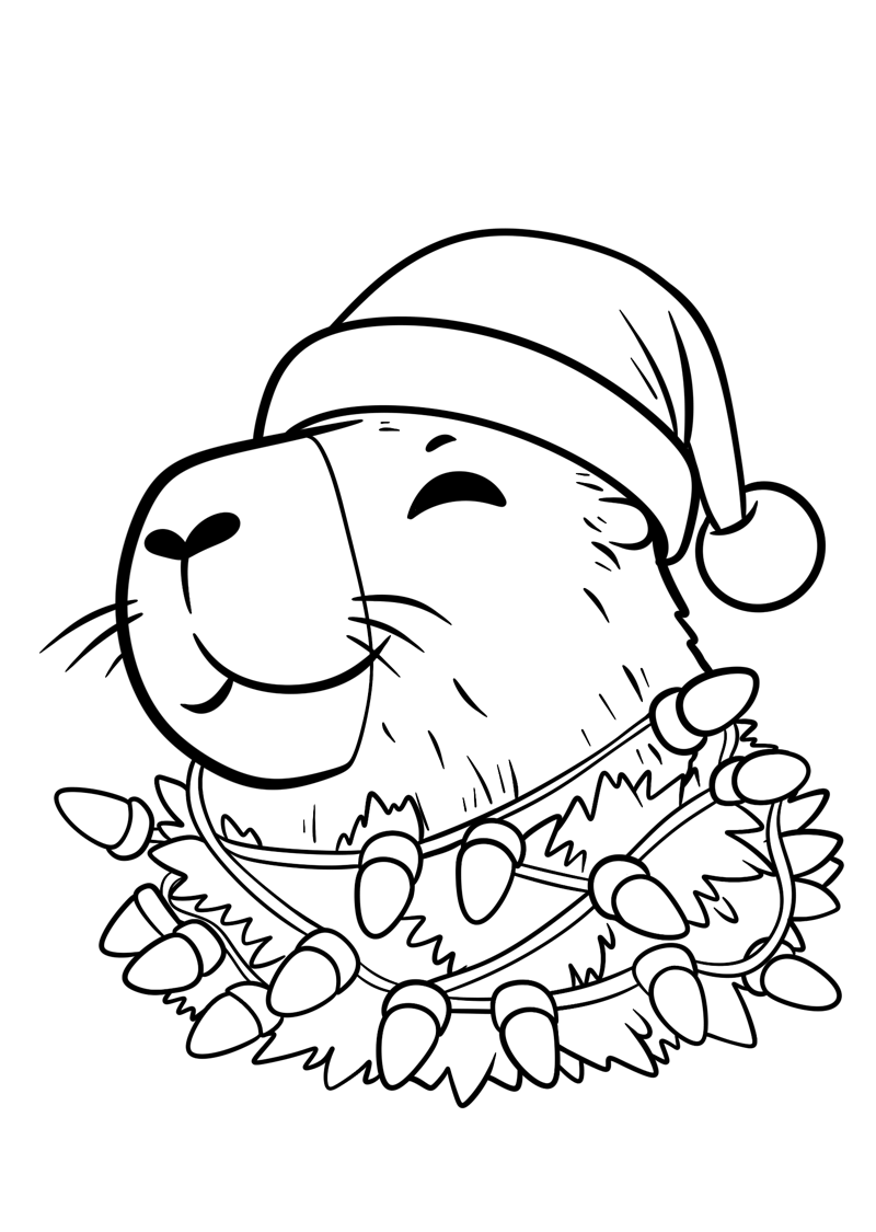 Capivara de Natal
