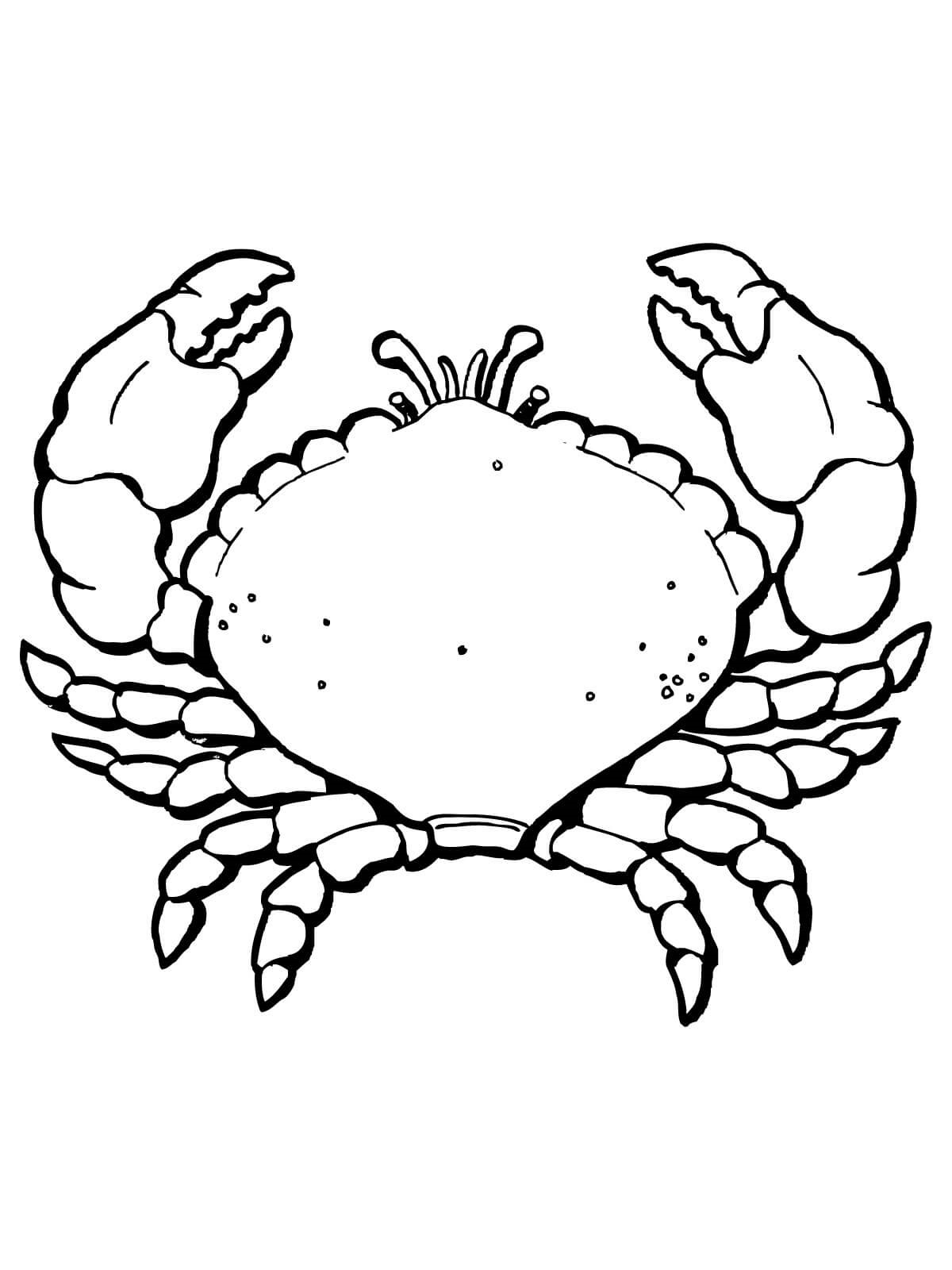 Caranguejo