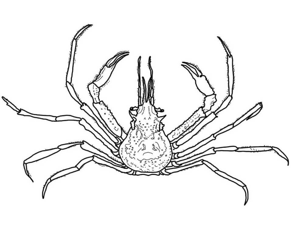 Caranguejo