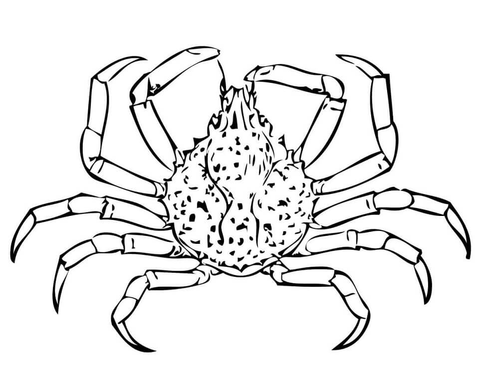 Caranguejo