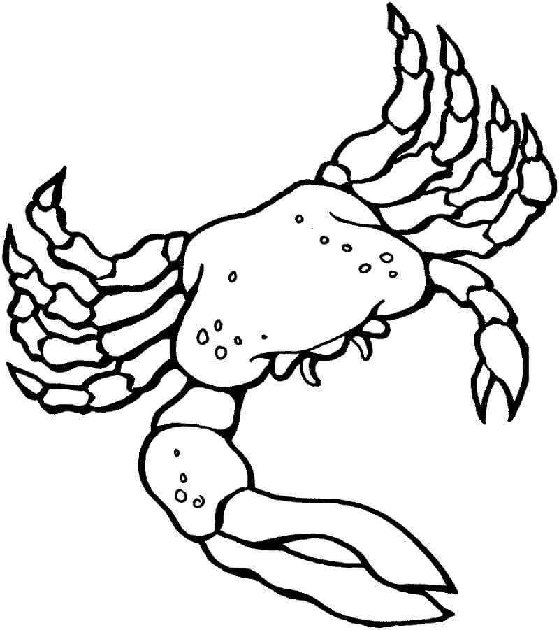 Caranguejo