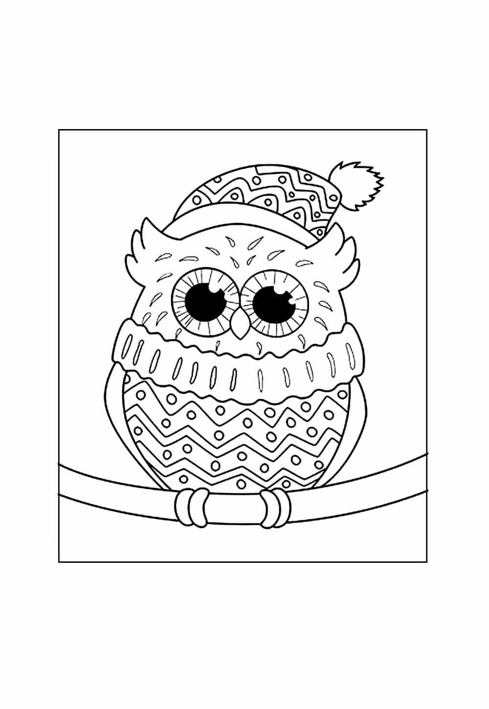 Coruja de Natal