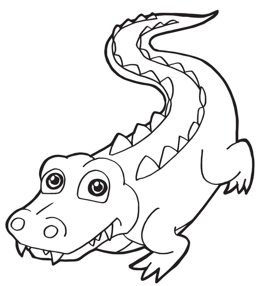 Crocodilo