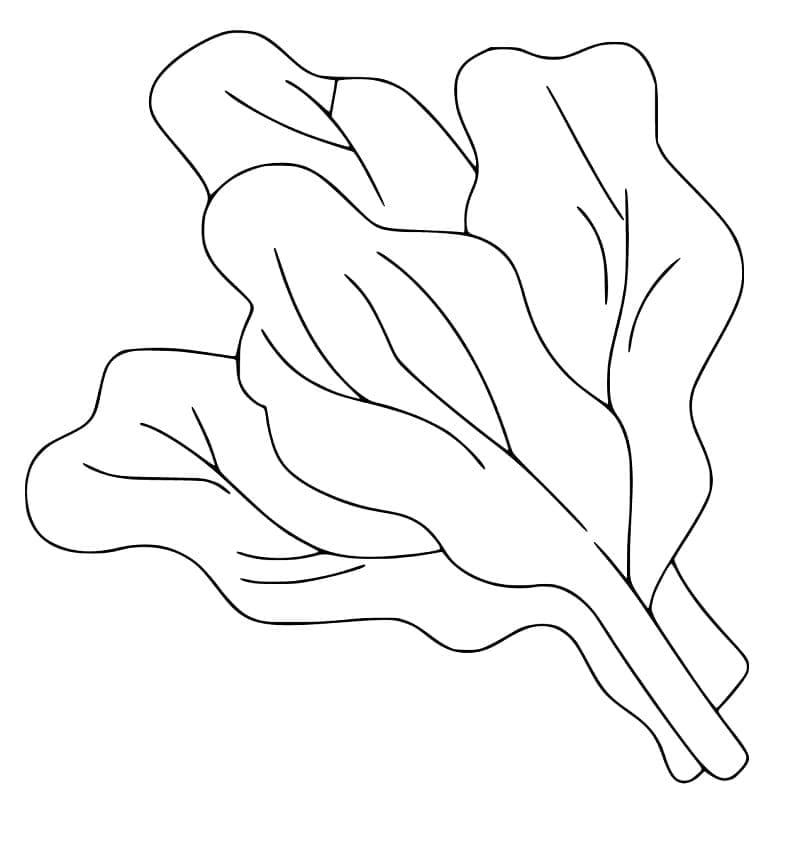 Espinafre