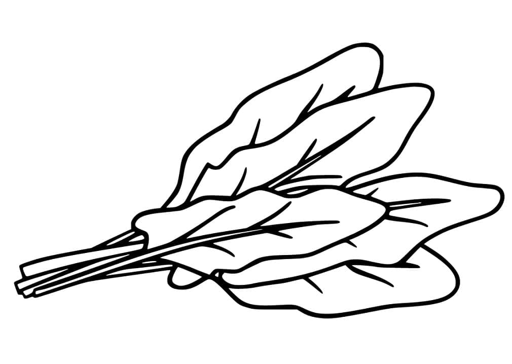 Espinafre