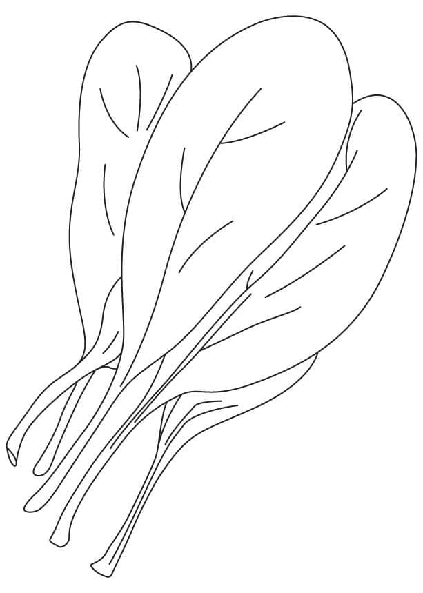Espinafre