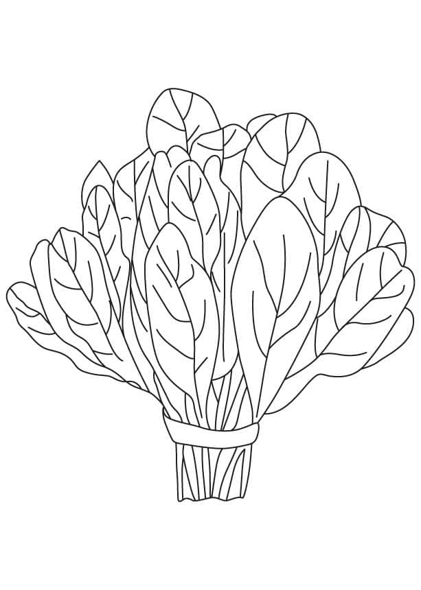 Espinafre