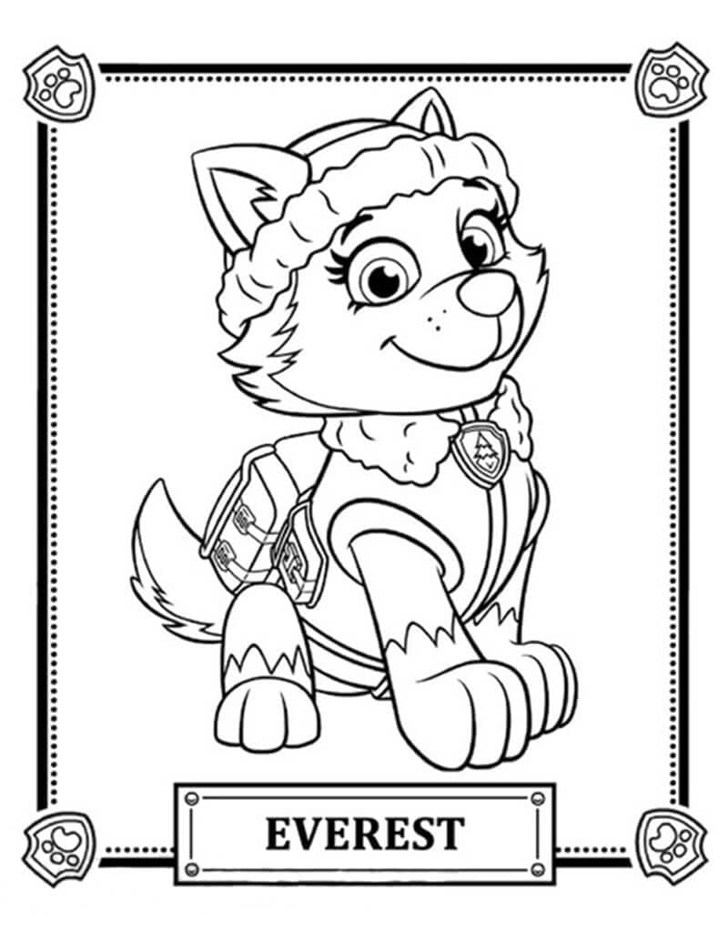 Everest (Patrulha Canina)