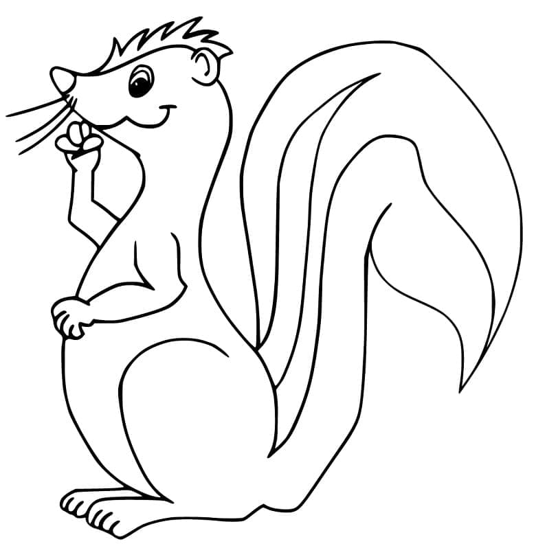 Gambá