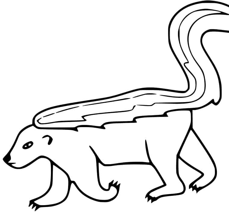 Gambá