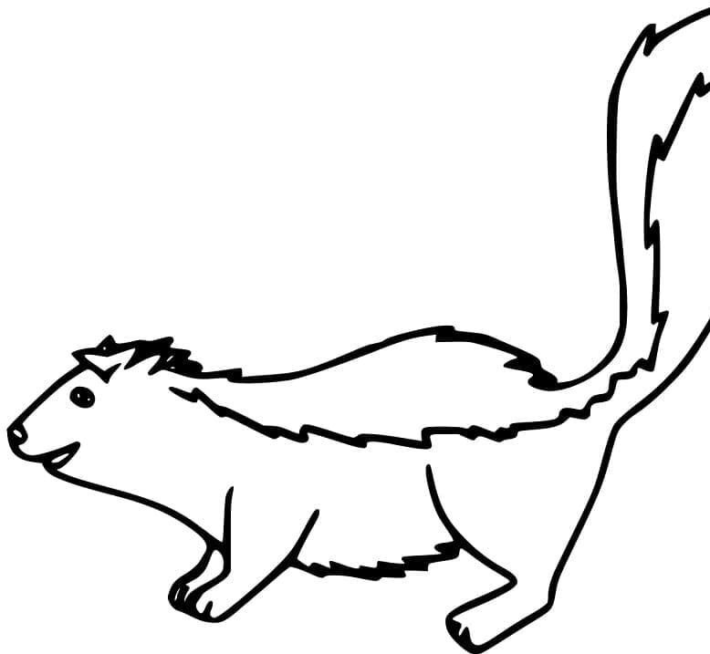 Gambá