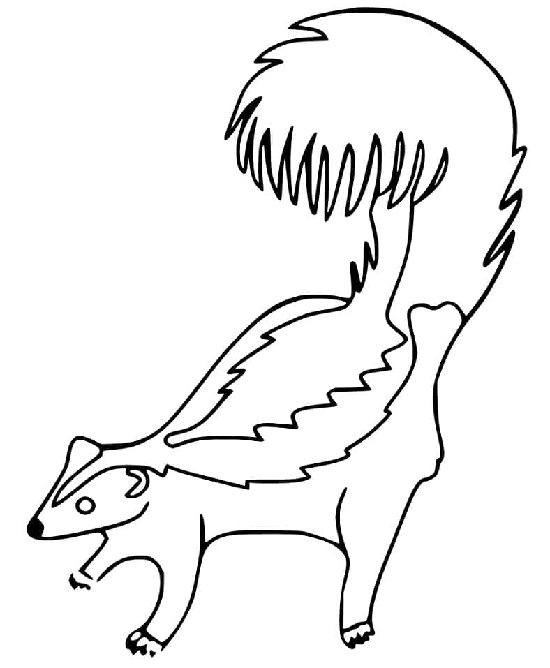 Gambá