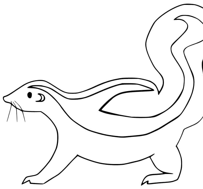 Gambá
