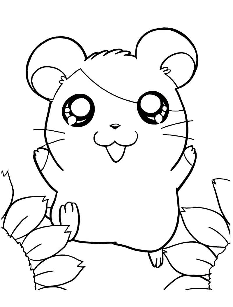 Hamtaro