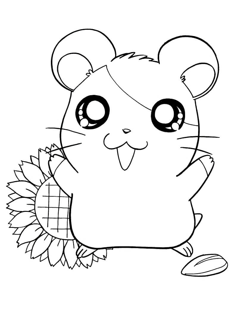 Hamtaro