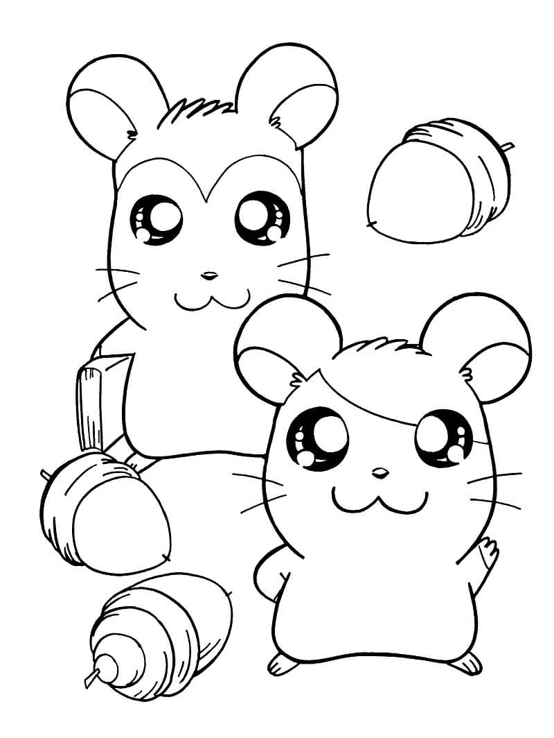 Hamtaro