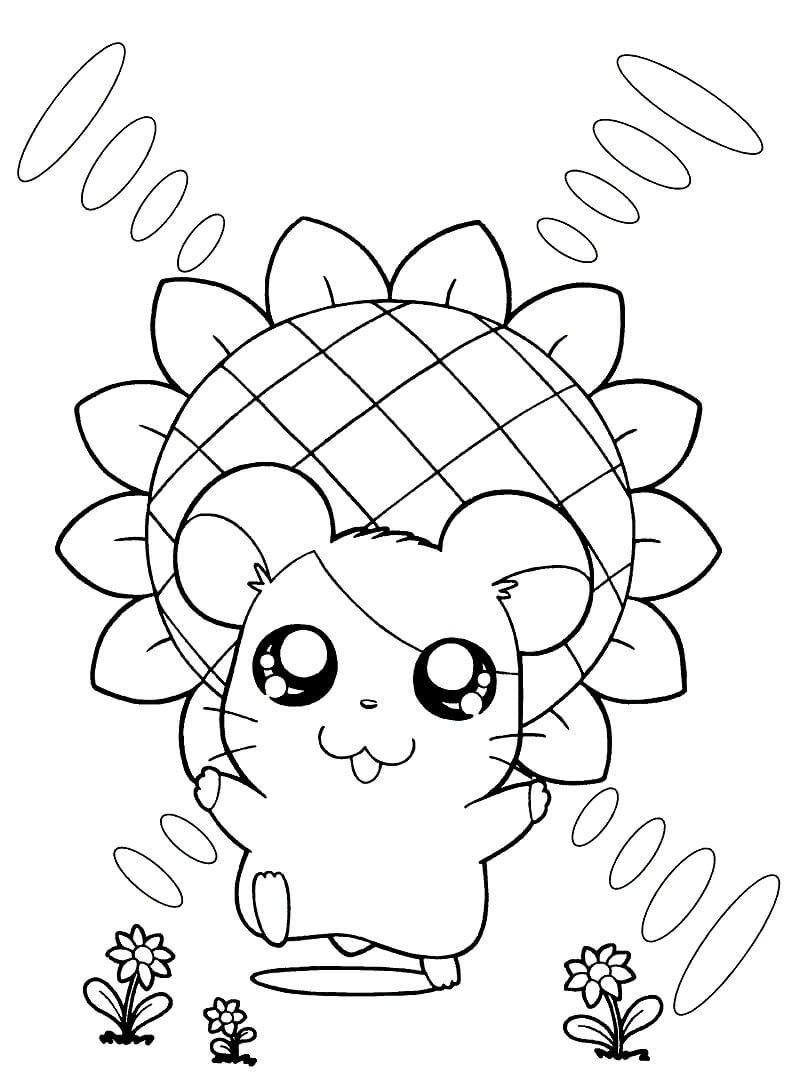 Hamtaro