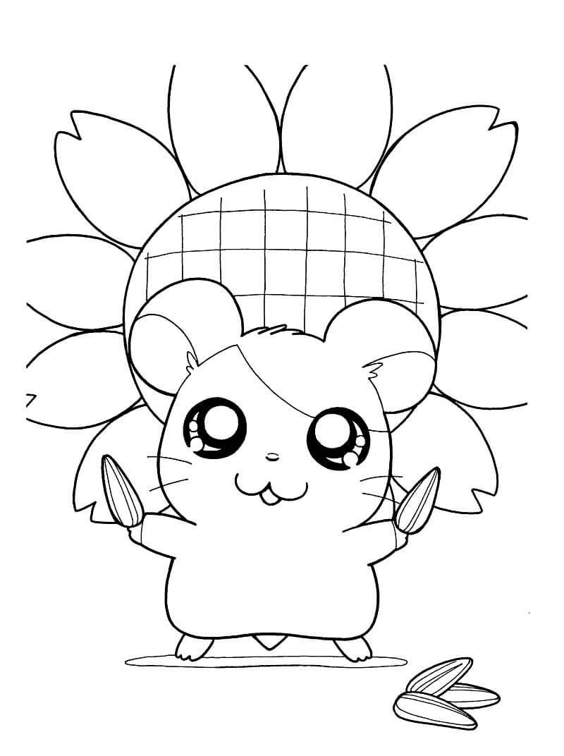 Hamtaro