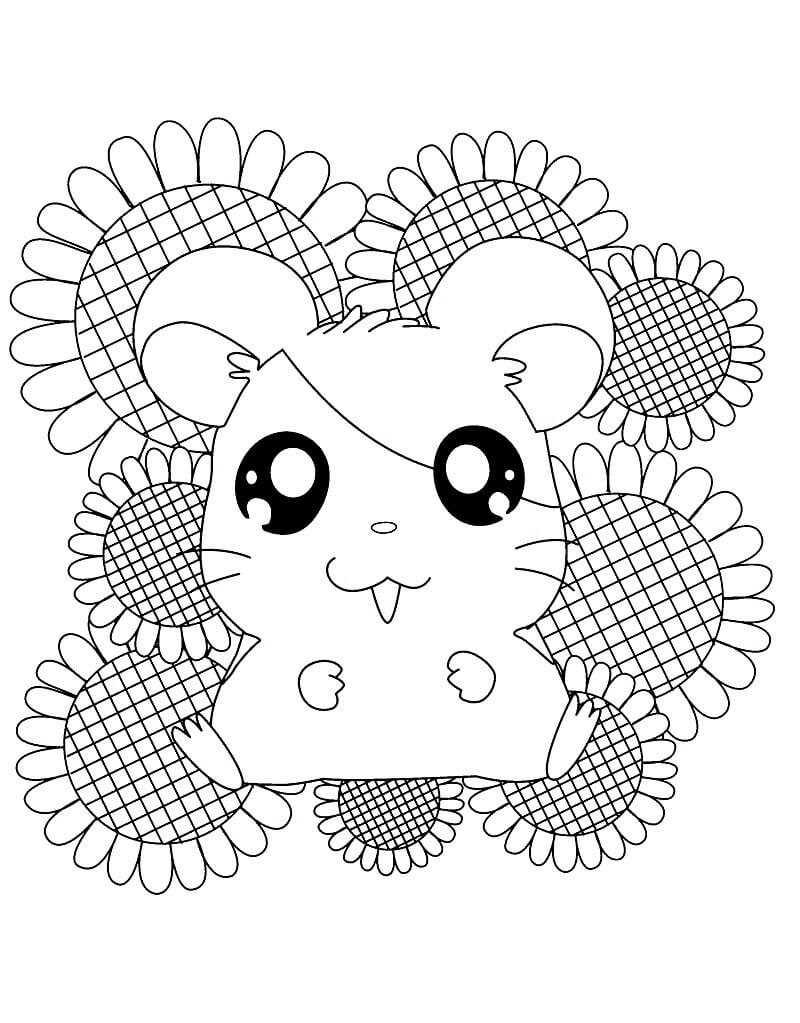 Hamtaro