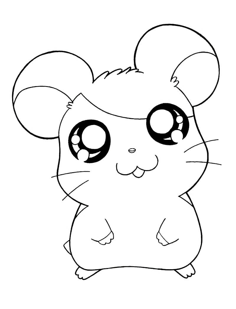 Hamtaro