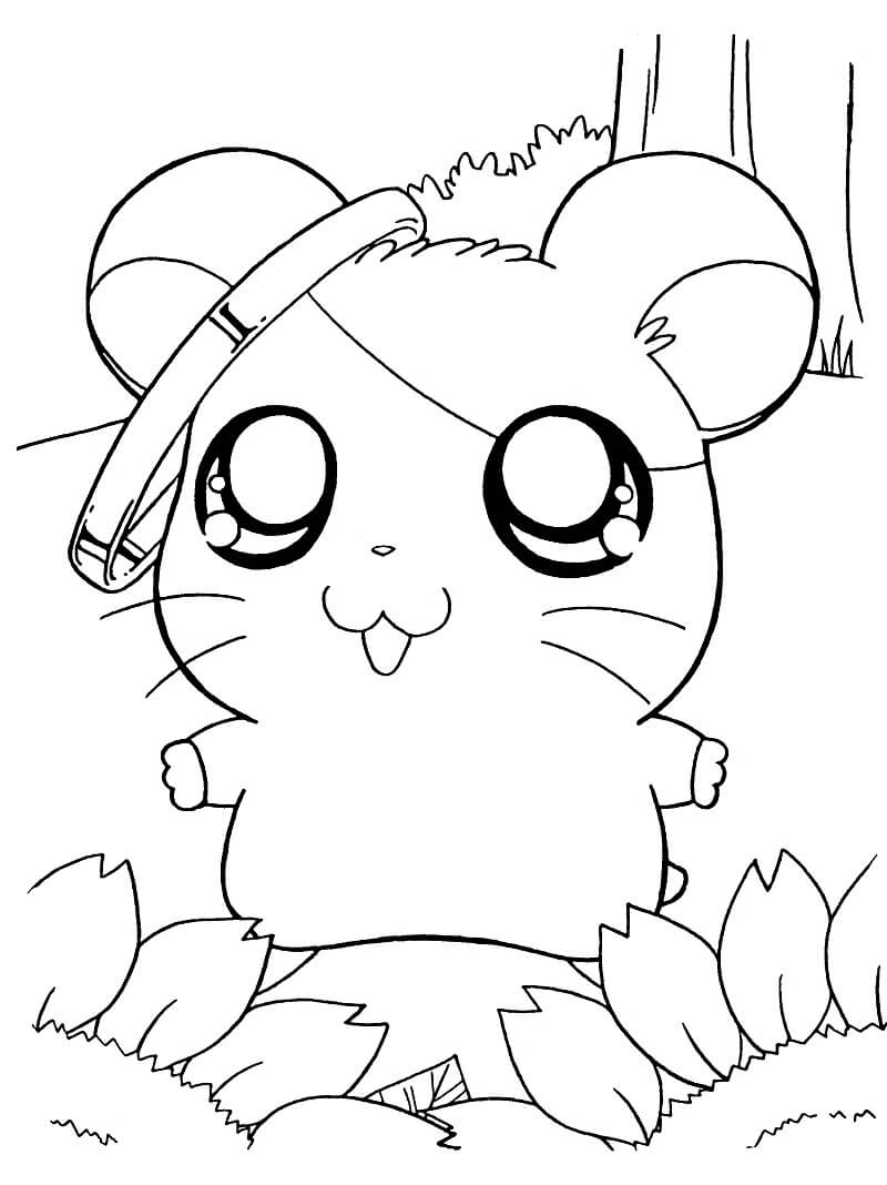 Hamtaro