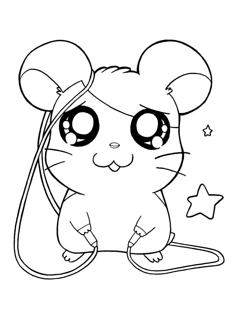 Hamtaro